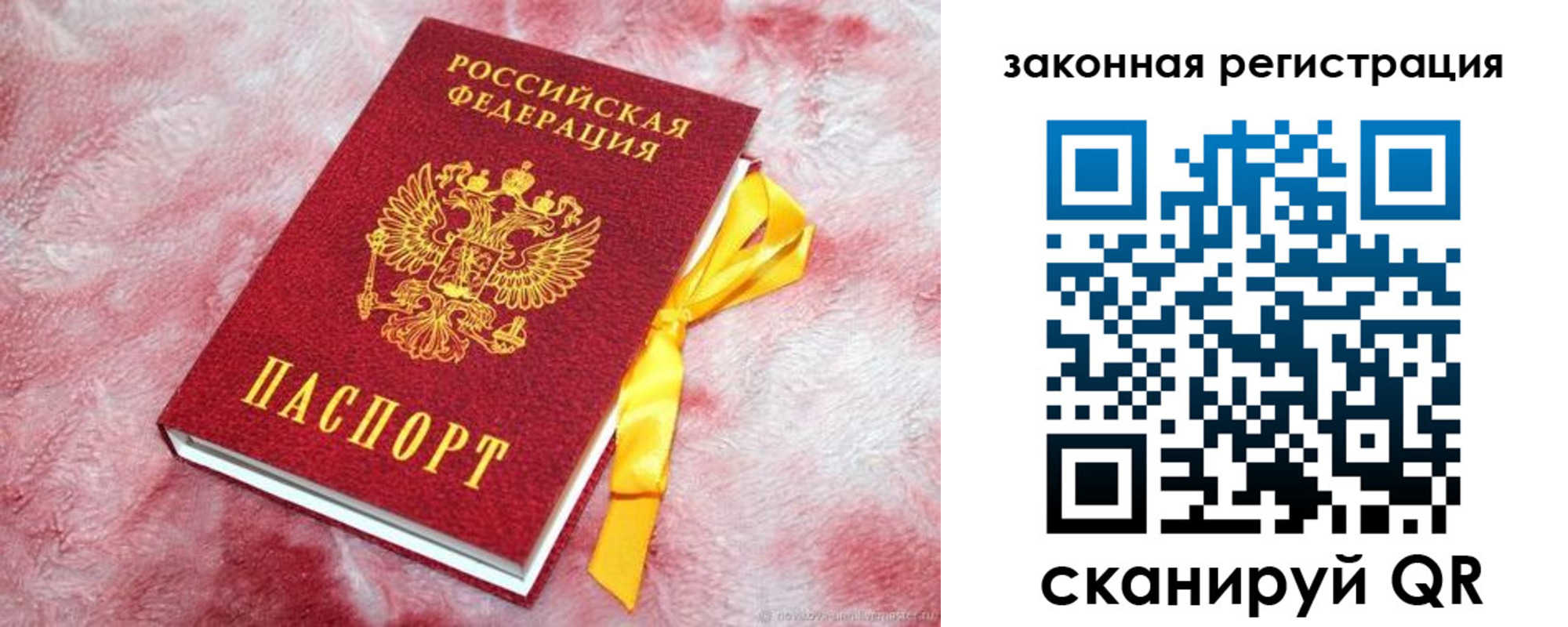 временная регистрация собственник в Бабаево